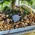 GIỎ PHÂN BÓN BONSAI CÓ REN - Thumbnail 2
