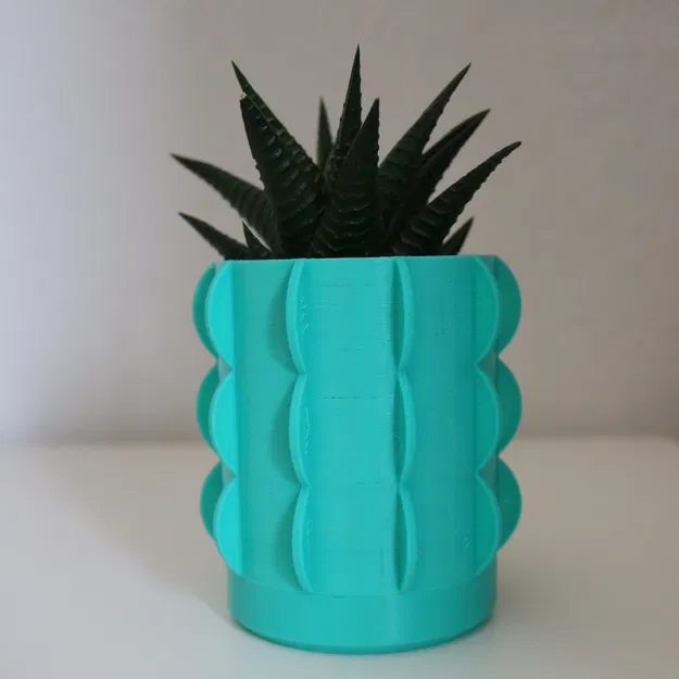 Chậu/Bình Hoa Xương Rồng Độc Đáo - Image 3