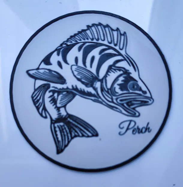 Đế Lót Ly Hình Cá Perch - Image 2