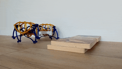 Chân Robot Kiểu Strider cho XRP - Image 2