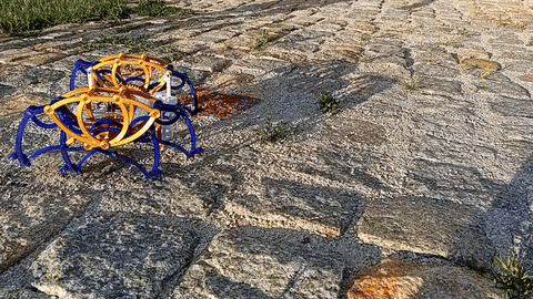 Chân Robot Kiểu Strider cho XRP - Image 6