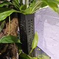 Chỗ Cắm Cây Thủy Sinh - Thumbnail 1