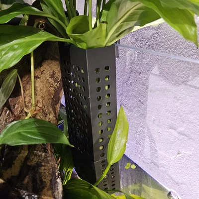 Chỗ Cắm Cây Thủy Sinh