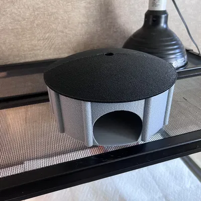 Hang Trăn "Herp Hut" Cho Bò Sát