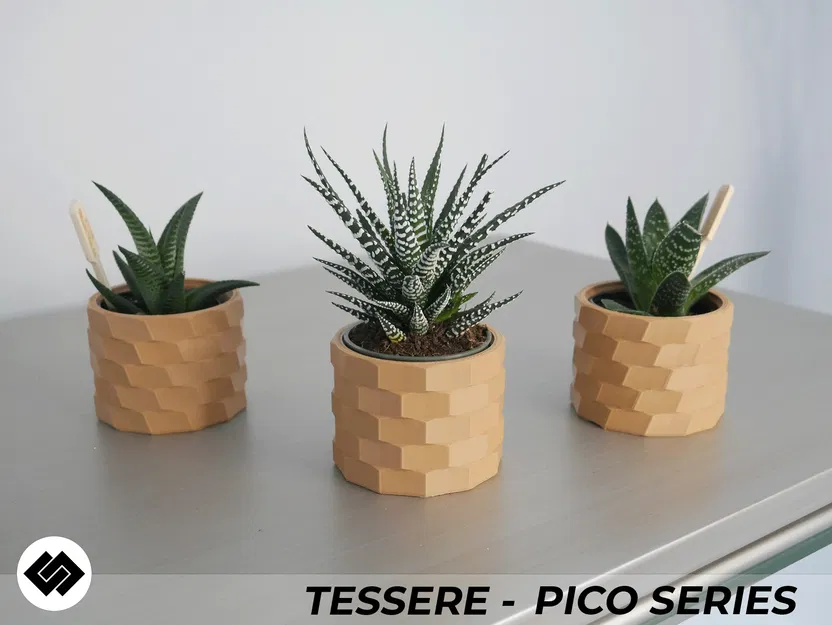 Bộ Ba Chậu Cây Cảnh Tessere Series - Image 1