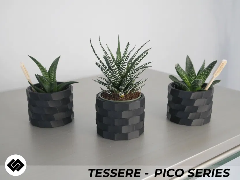 Bộ Ba Chậu Cây Cảnh Tessere Series - Image 2