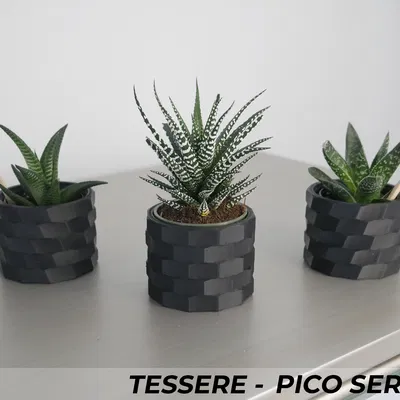 Bộ Ba Chậu Cây Cảnh Tessere Series