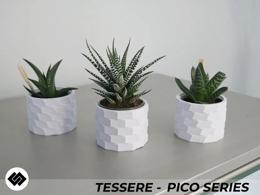 Bộ Ba Chậu Cây Cảnh Tessere Series - Image 3