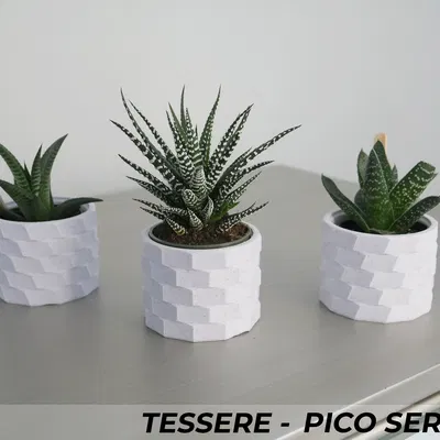 Bộ Ba Chậu Cây Cảnh Tessere Series