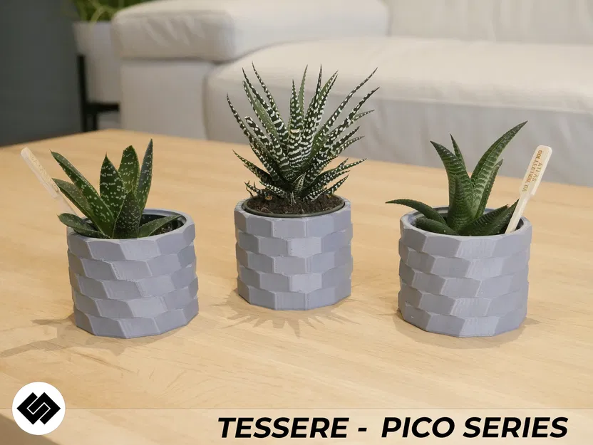 Bộ Ba Chậu Cây Cảnh Tessere Series - Image 4