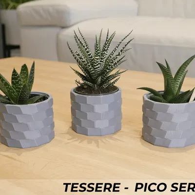 Bộ Ba Chậu Cây Cảnh Tessere Series