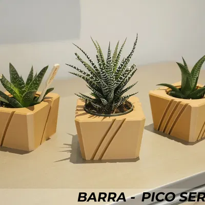 Bộ Ba Chậu Cây Barra Series