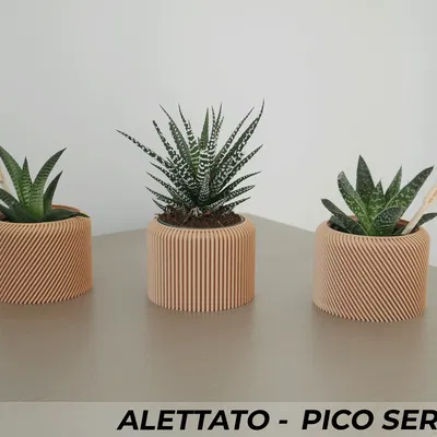 Bộ 3 Chậu Cây Alettato Series