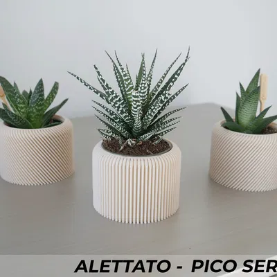 Bộ 3 Chậu Cây Alettato Series