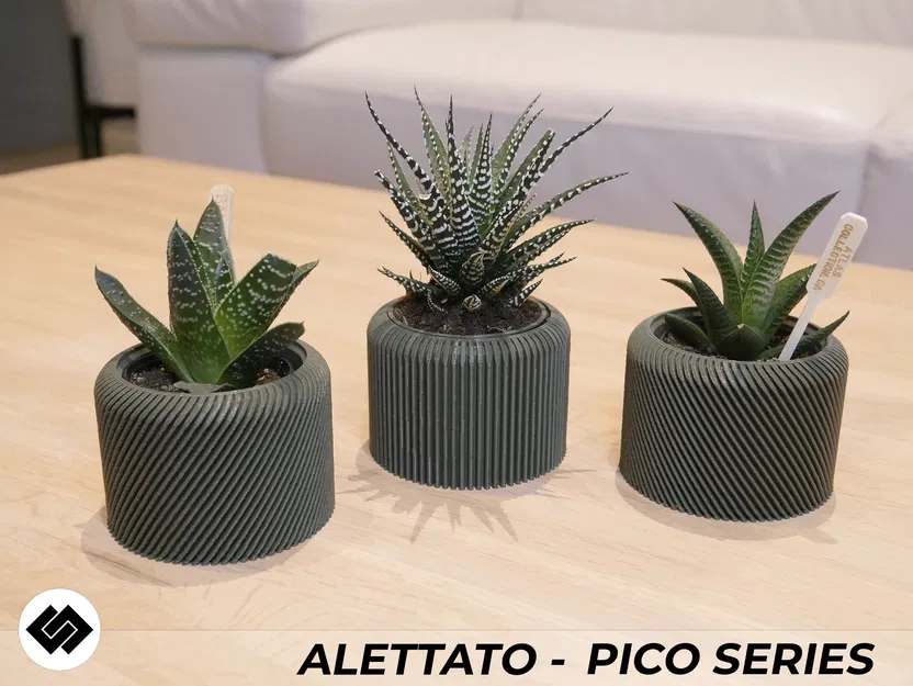 Bộ 3 Chậu Cây Alettato Series - Image 3