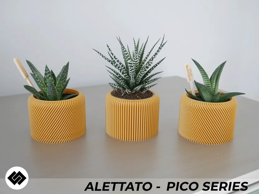 Bộ 3 Chậu Cây Alettato Series - Image 4
