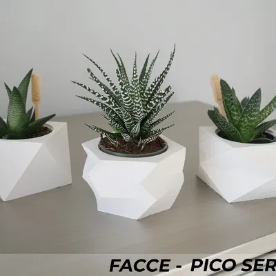 Bộ 3 Chậu Cây Mini Facce Series