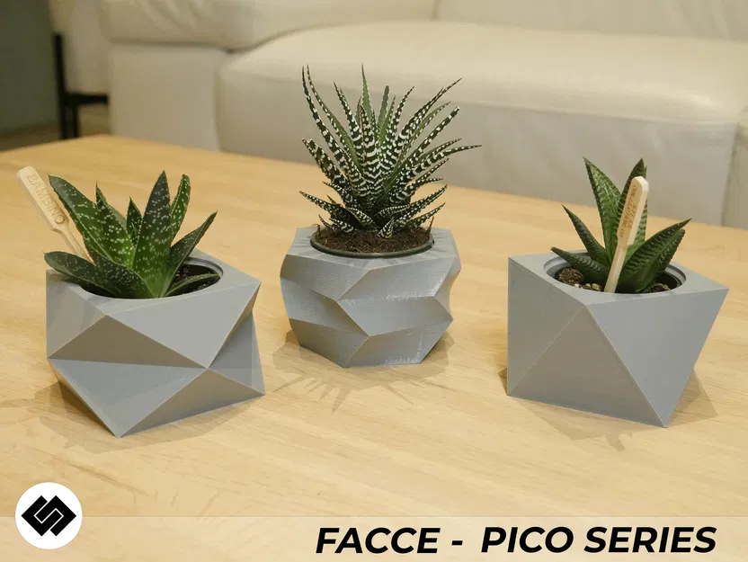 Bộ 3 Chậu Cây Mini Facce Series - Image 2