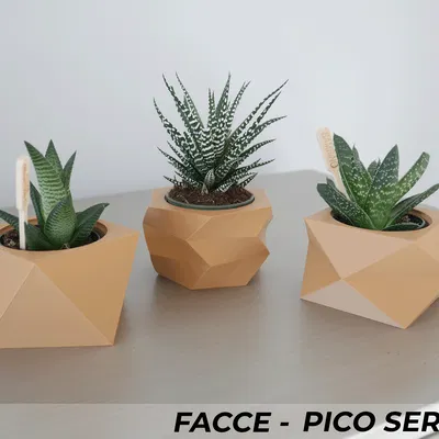 Bộ 3 Chậu Cây Mini Facce Series
