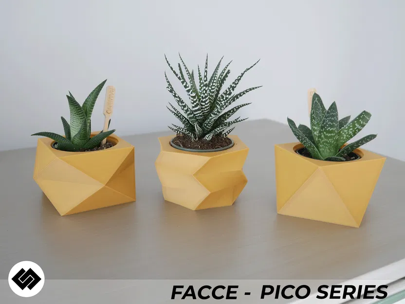 Bộ 3 Chậu Cây Mini Facce Series - Image 4