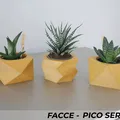 Bộ 3 Chậu Cây Mini Facce Series - Thumbnail 4