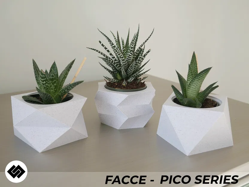 Bộ 3 Chậu Cây Mini Facce Series - Image 5