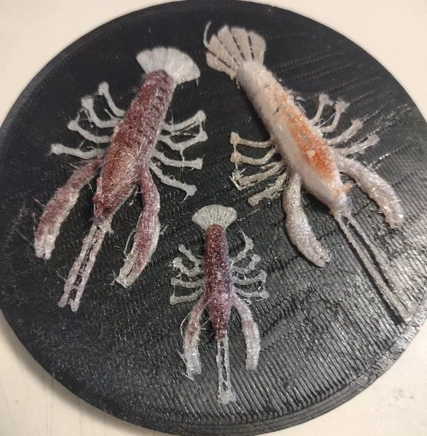 Mồi Tôm Càng Xanh Mềm - Image 3