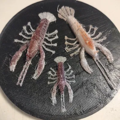 Mồi Tôm Càng Xanh Mềm