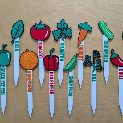 Nhãn Vườn Đa Sắc