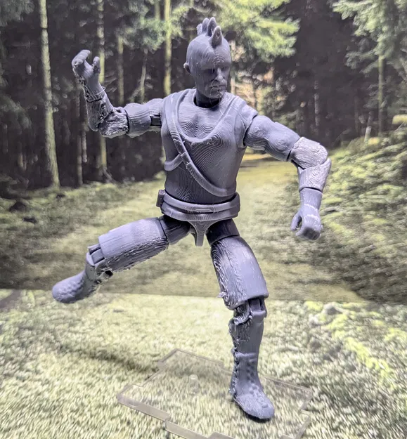 FigBash Mô Hình Hành Động Tùy Chỉnh Lắp Ráp Sẵn. Phiên Bản Early Bird. - Image 1