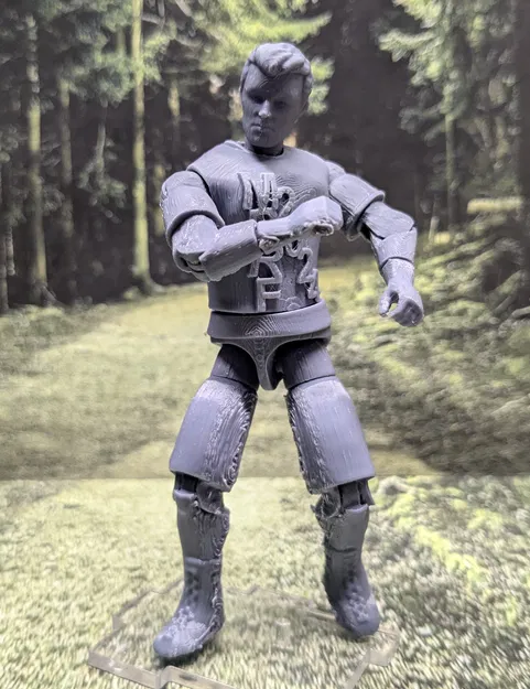 FigBash Mô Hình Hành Động Tùy Chỉnh Lắp Ráp Sẵn. Phiên Bản Early Bird. - Image 2