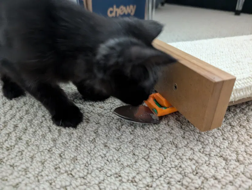 Dụng cụ bóp thức ăn lỏng cho mèo Churu thao tác 1 tay (Tự mang muỗng) - Image 2