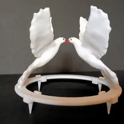 Bồ Câu Trắng Cho Lễ Cưới