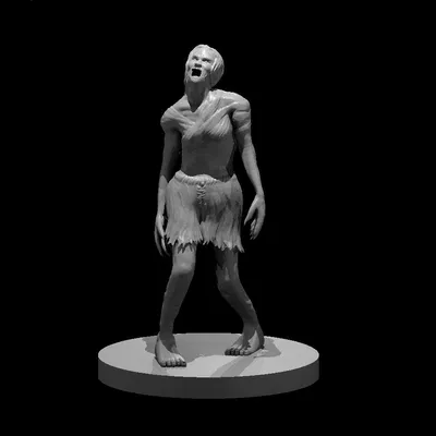 Bộ Sưu Tập Rồng Đảo Stormwreck