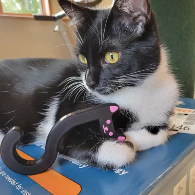 Móc Treo Ba Lô Hình Mèo