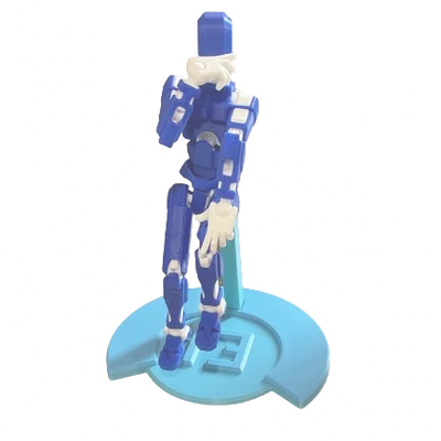 Mô Hình Khớp Nữ DUMMY 13 *TẤT CẢ TRONG MỘT*