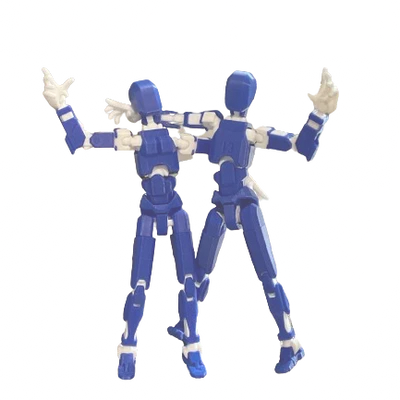 Mô Hình Khớp Nữ DUMMY 13 *TẤT CẢ TRONG MỘT*