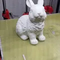 Mô hình Thỏ 3D - Thumbnail 3