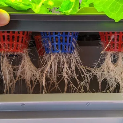 Chậu Thủy Canh RAKO + Nắp