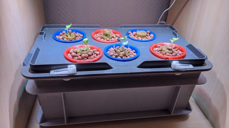 Chậu Thủy Canh RAKO + Nắp - Image 2