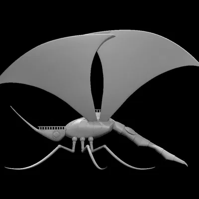 Các Mẫu Thuyền Spelljammer - Cỡ Lớn và Cỡ Nhỏ