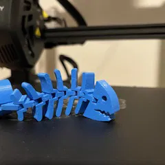 Cá Khung Xương Khớp Nối Linh Hoạt (Articulated Skeleton Flexi Fish)