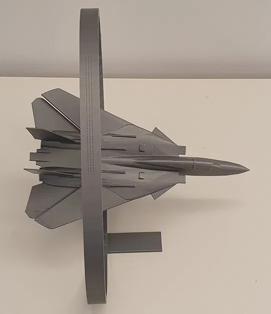 Mô hình nghệ thuật dây máy bay Grumman F-14 Tomcat - Image 2