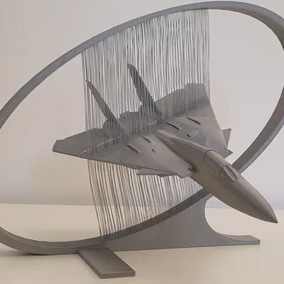 Mô hình nghệ thuật dây máy bay Grumman F-14 Tomcat