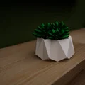 Chậu hoa M2 - Thumbnail 1