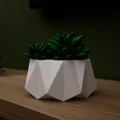 Chậu hoa M2 - Thumbnail 2
