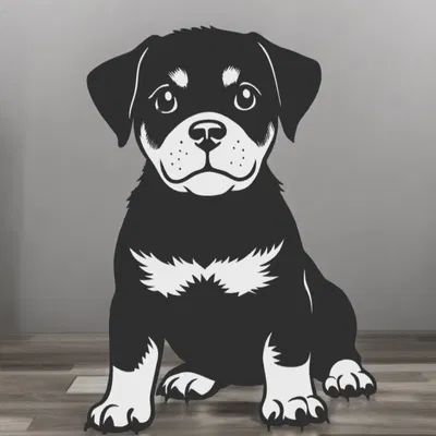 Trang trí tường 2D hình chó độc đáo