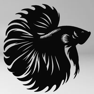 CÁ BETA, TRANH CÁ BETA, TRANH TƯỜNG CÁ BETA, TRANH 2D CÁ BETA, TRANG TRÍ CÁ BETA