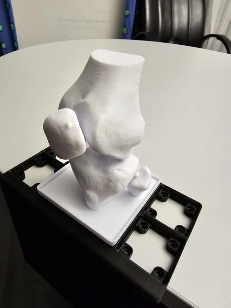 Mô hình đầu gối Gridfinity - Image 1