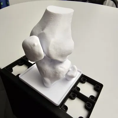 Mô hình đầu gối Gridfinity